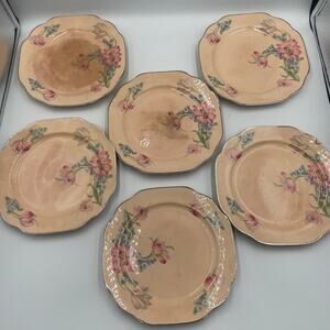 Vintage Quadro Crooksville Pink Floral Pattern Set 6 small dessert salad plates